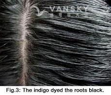 241003135627_Hair-Dyed with indigo-s.jpg